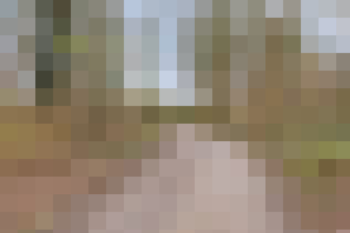  / #15