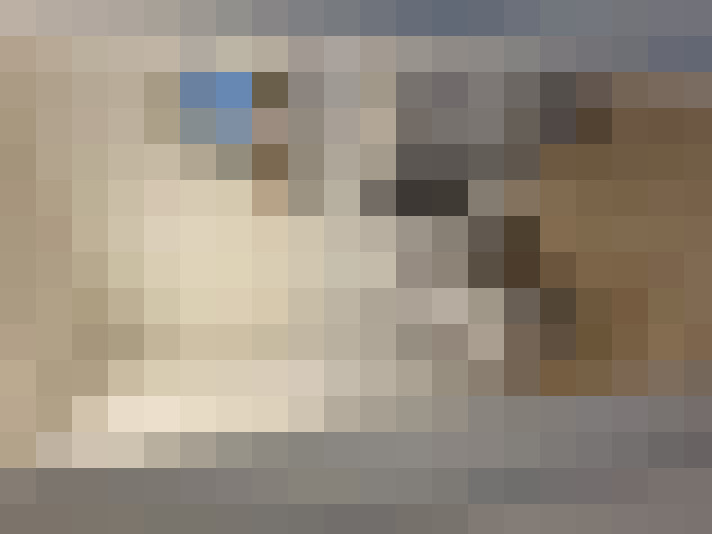  / #16