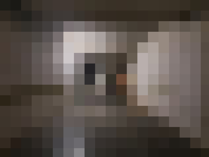  / #13