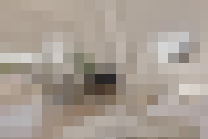  / #17