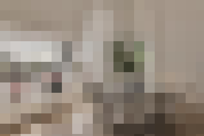  / #16