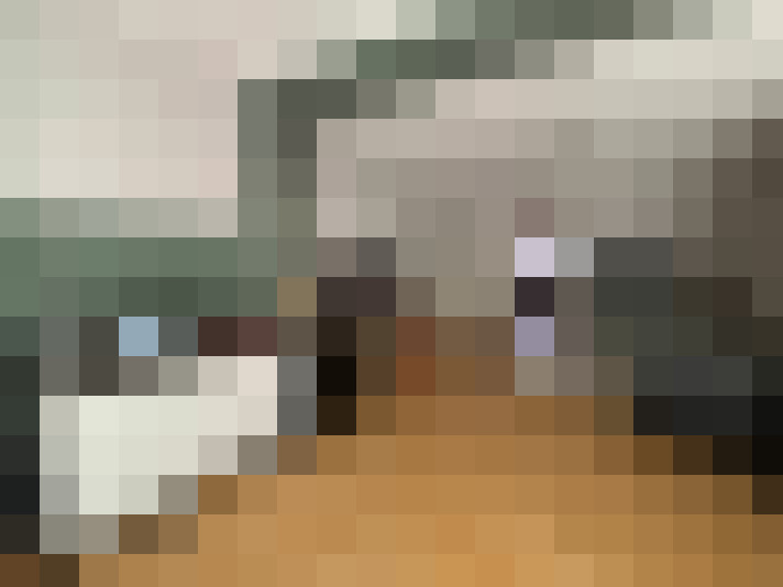  / #7
