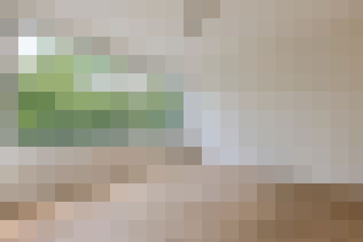  / #6