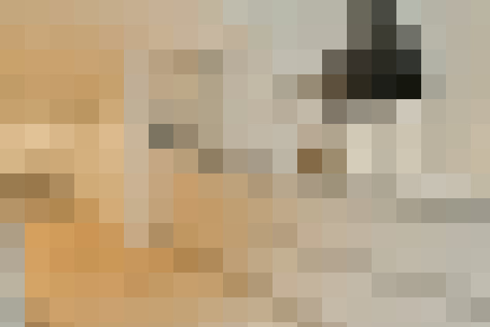  / #13