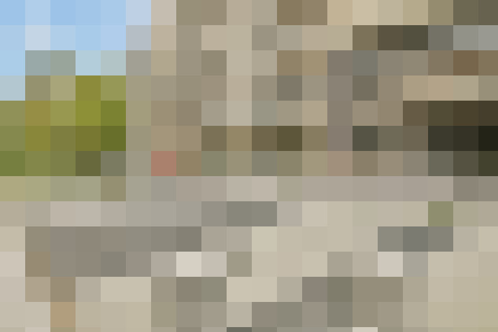  / #24