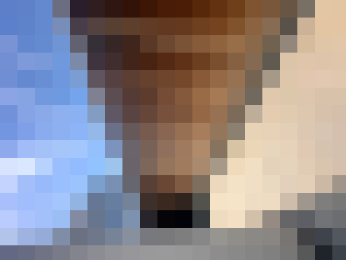  / #14