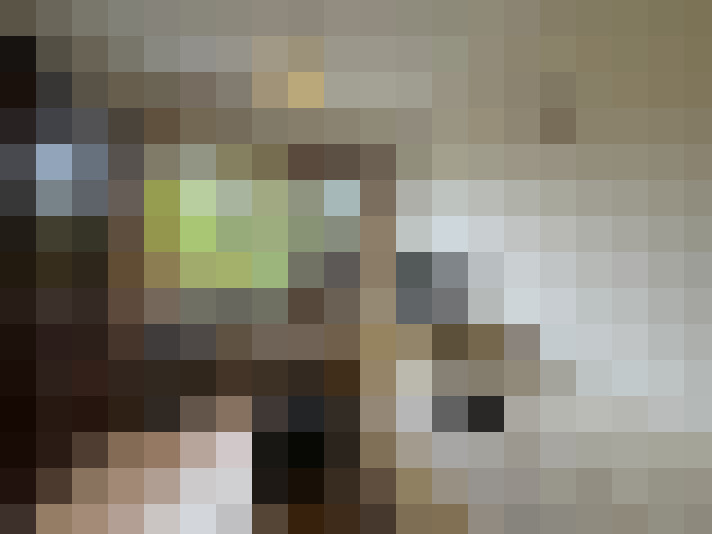 / #15