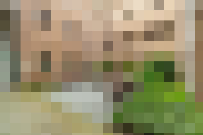  / #13