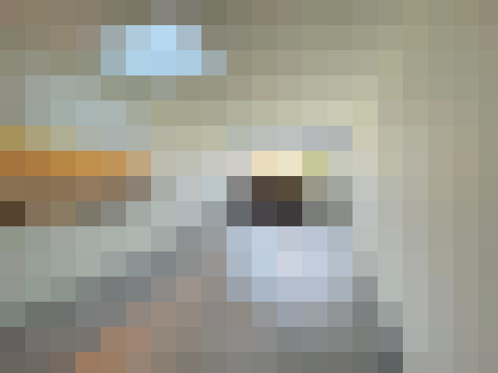  / #19