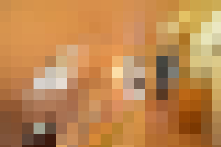  / #15