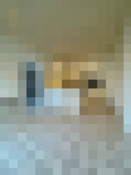  / #20
