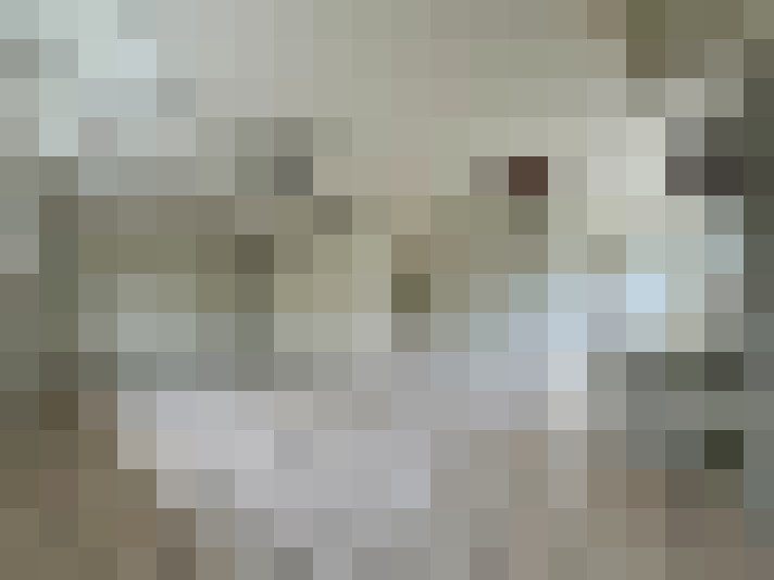  / #24