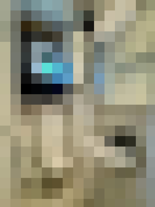  / #10