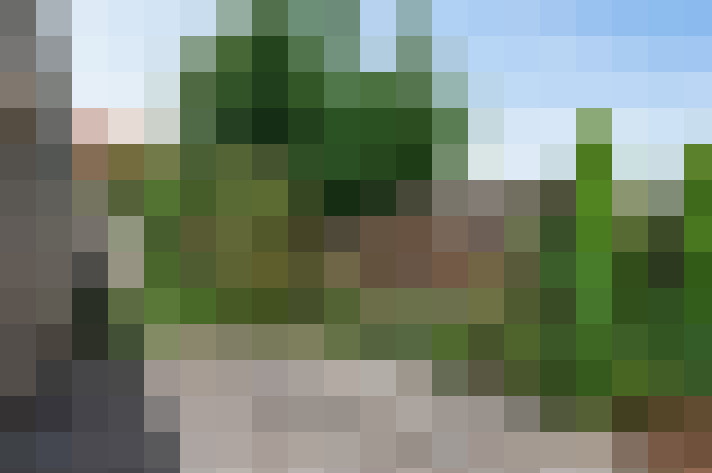  / #11