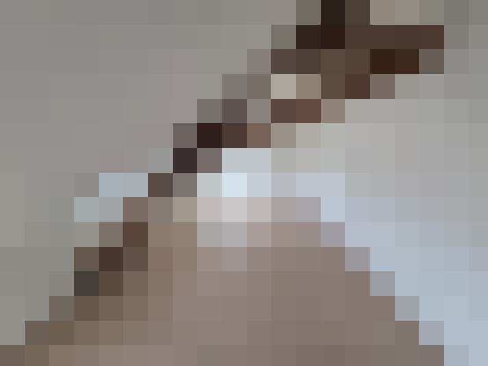  / #16