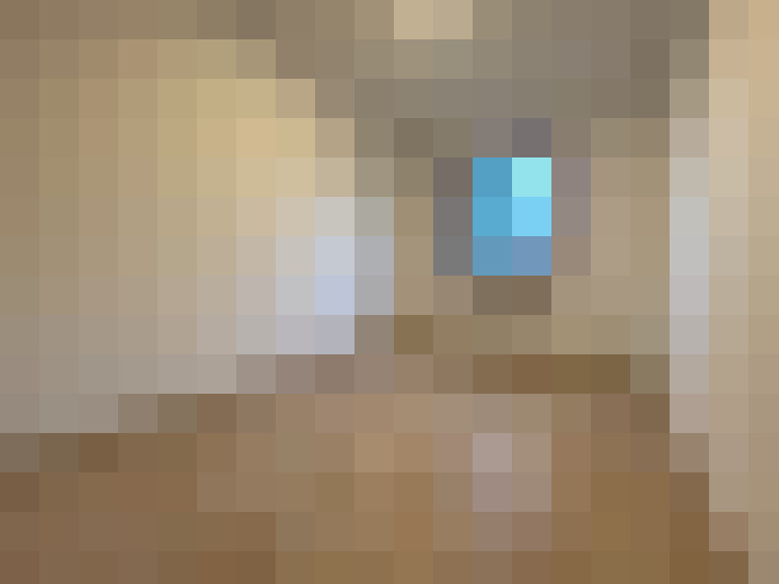  / #6