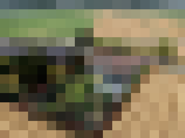  / #15