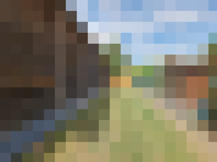  / #15