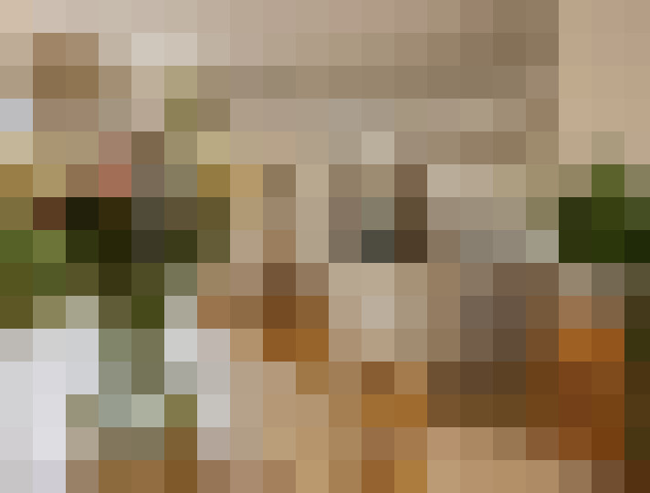  / #21
