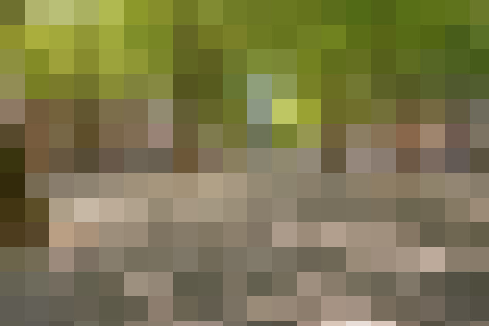  / #31