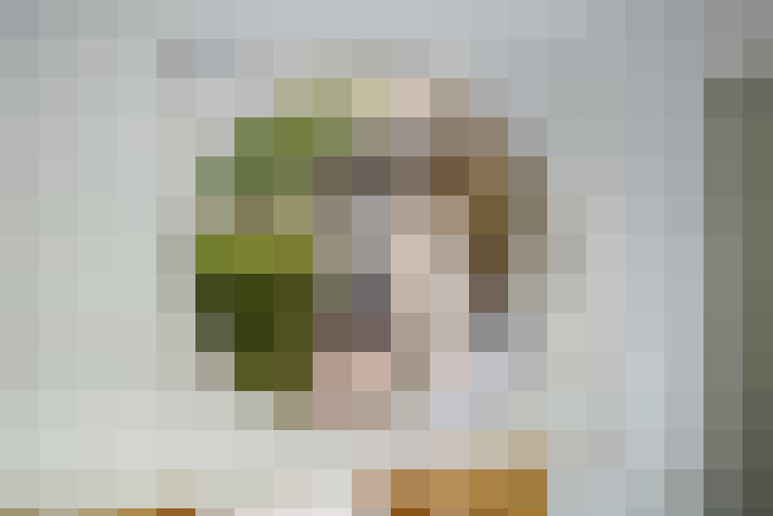  / #15