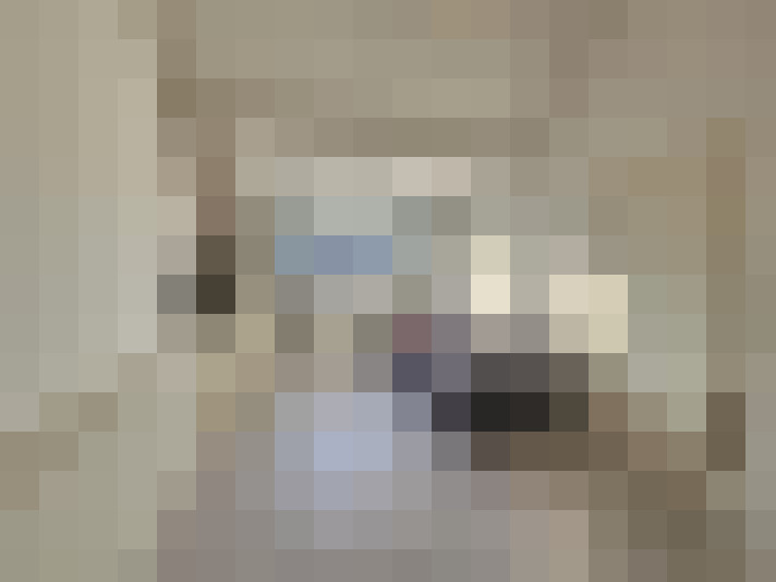  / #25
