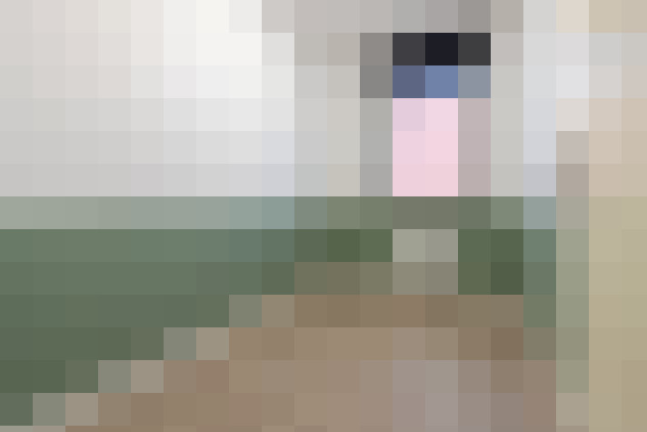  / #15