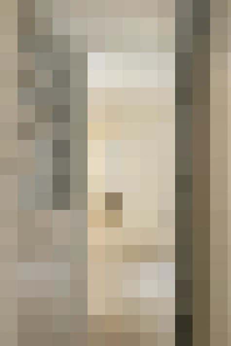  / #22
