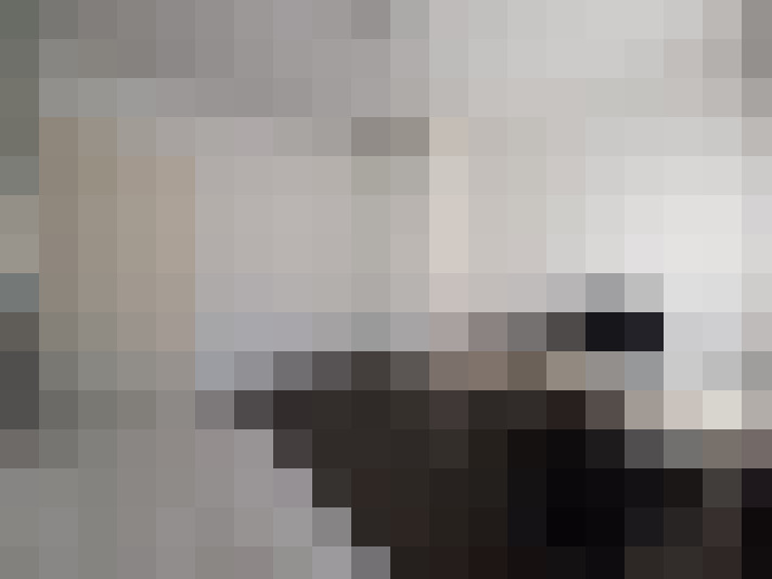  / #19