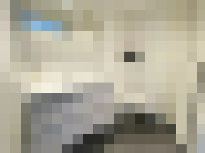  / #16