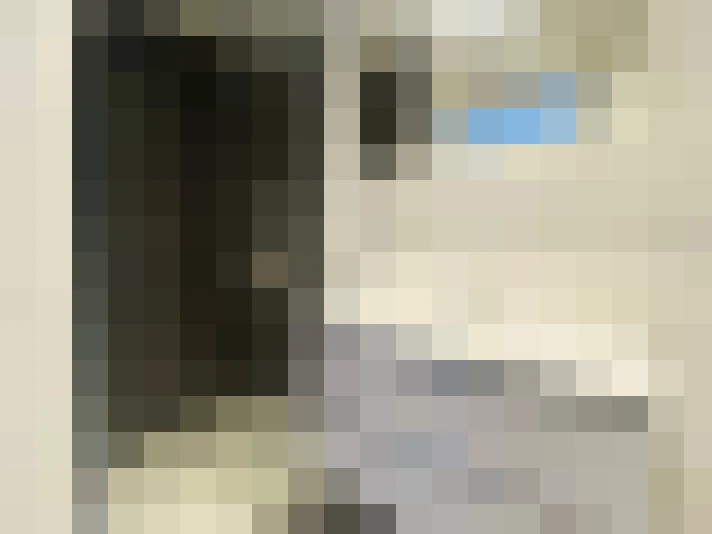  / #15