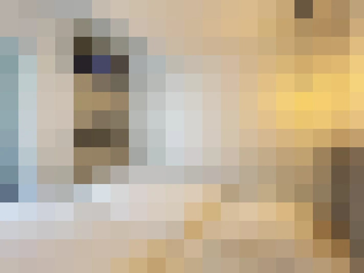  / #19