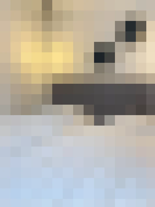  / #18