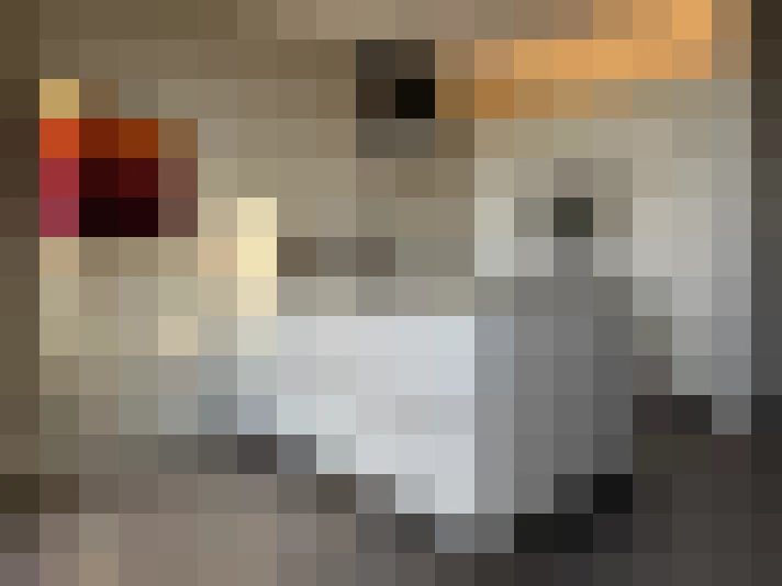  / #17