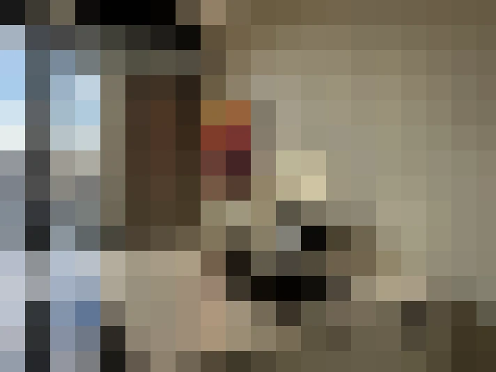  / #21