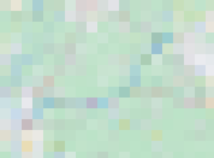  / #14