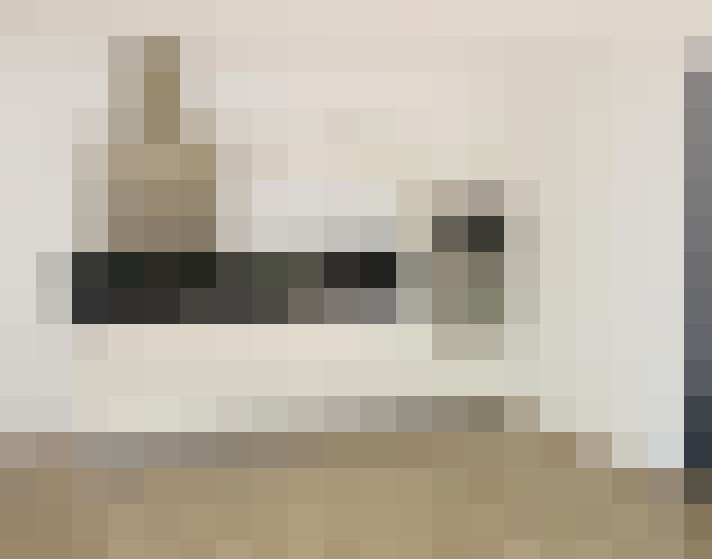  / #8