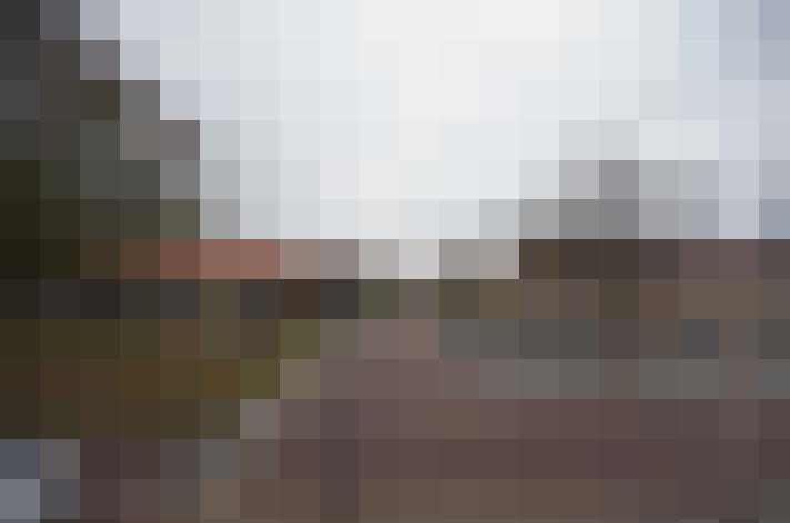  / #17