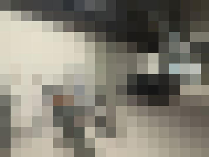  / #20