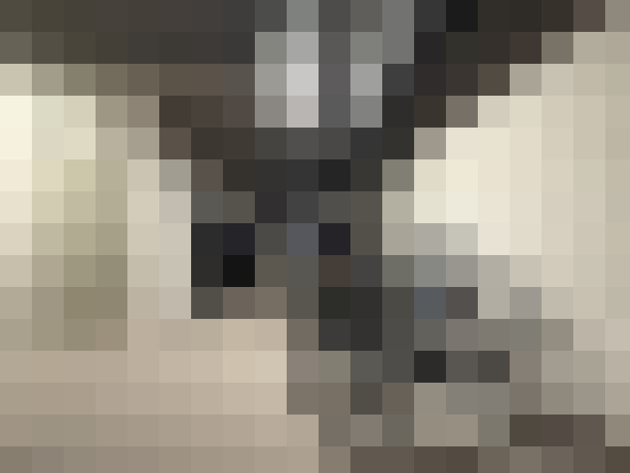  / #19
