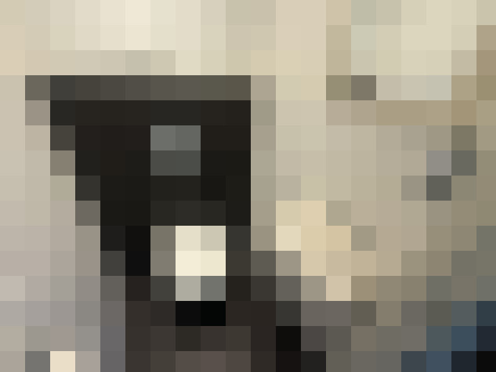  / #14