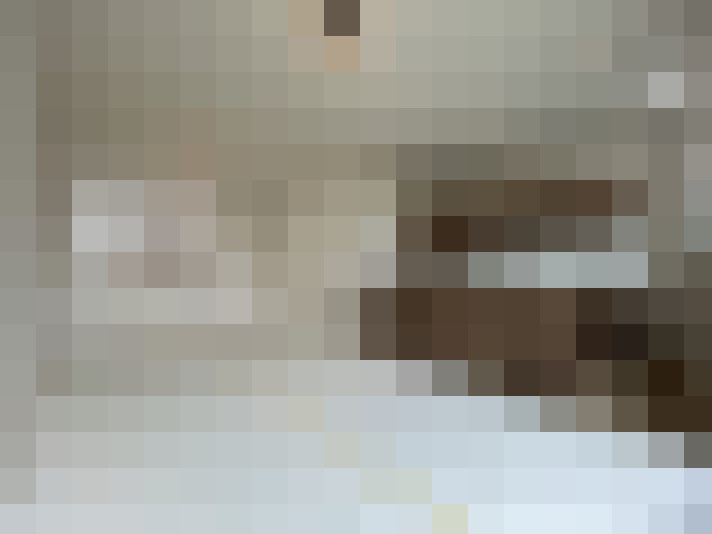  / #19