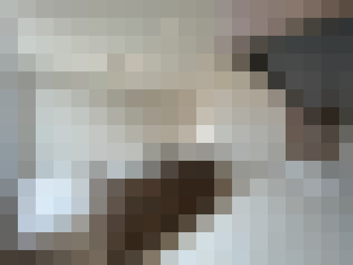  / #23