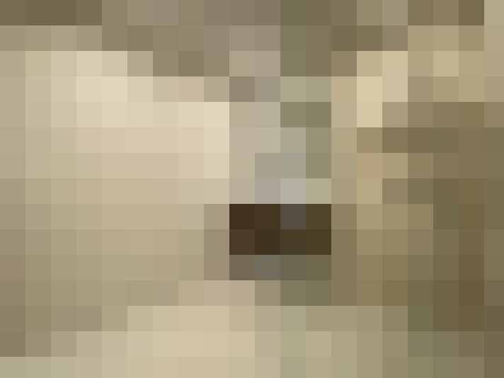  / #17