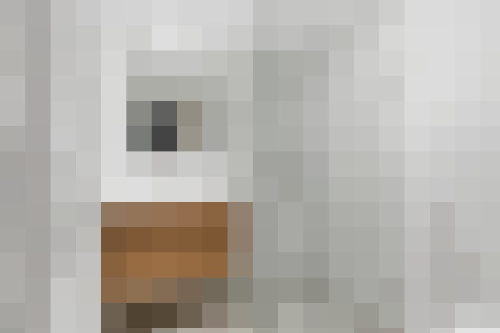  / #21