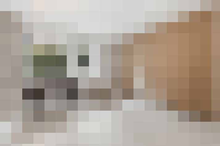  / #19