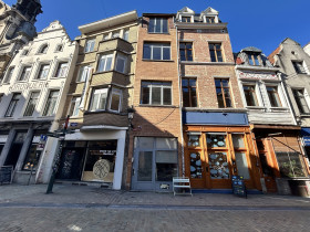 Einfamilienhaus in Bruxelles