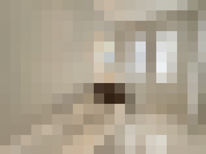  / #22