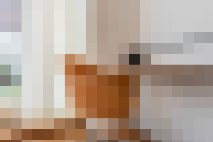 / #14
