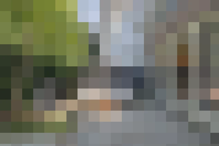  / #16